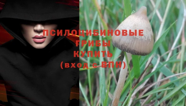 а пвп мука Алексин