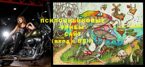 каннабис Майский