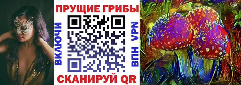 Галлюциногенные грибы GOLDEN TEACHER  цены   ОМГ ОМГ зеркало  Усть-Лабинск 