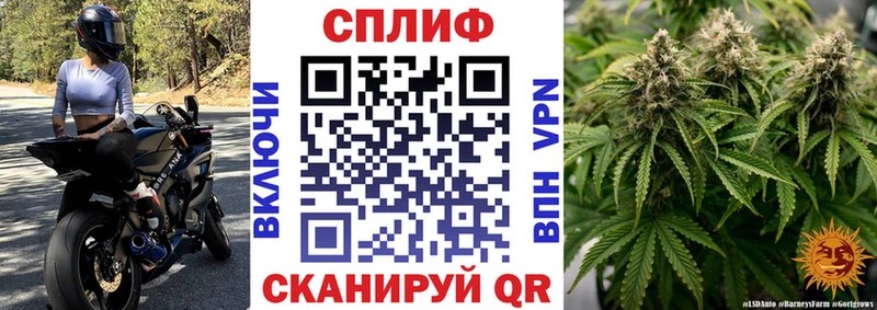 Шишки марихуана гибрид  это официальный сайт  Усть-Лабинск 